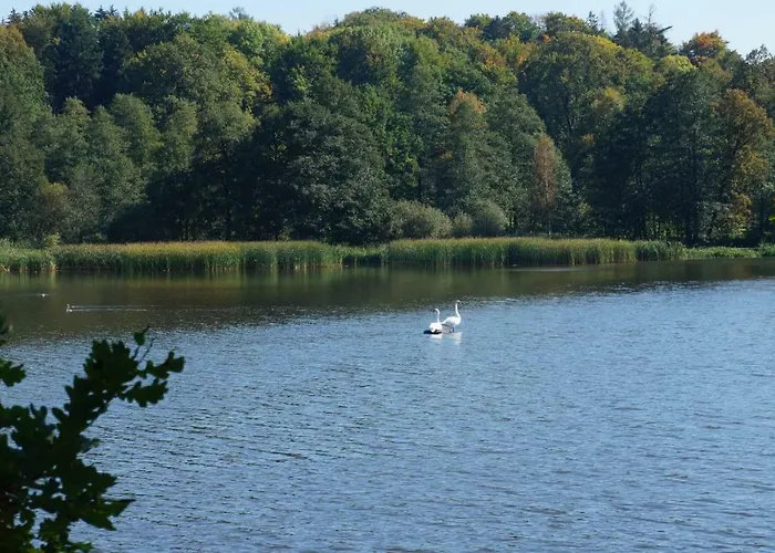 Séjour chez l'habitant Lagi